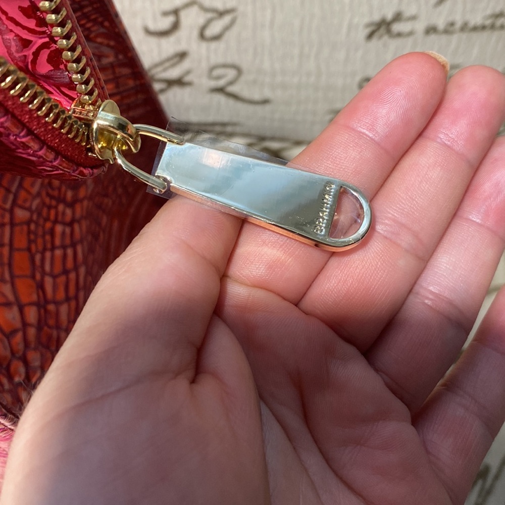 Brahmin - Picture 12 of 15